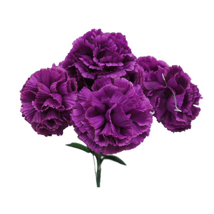 CARNATION FLORIGENE MOONSHADE (PURPLE) SELECT