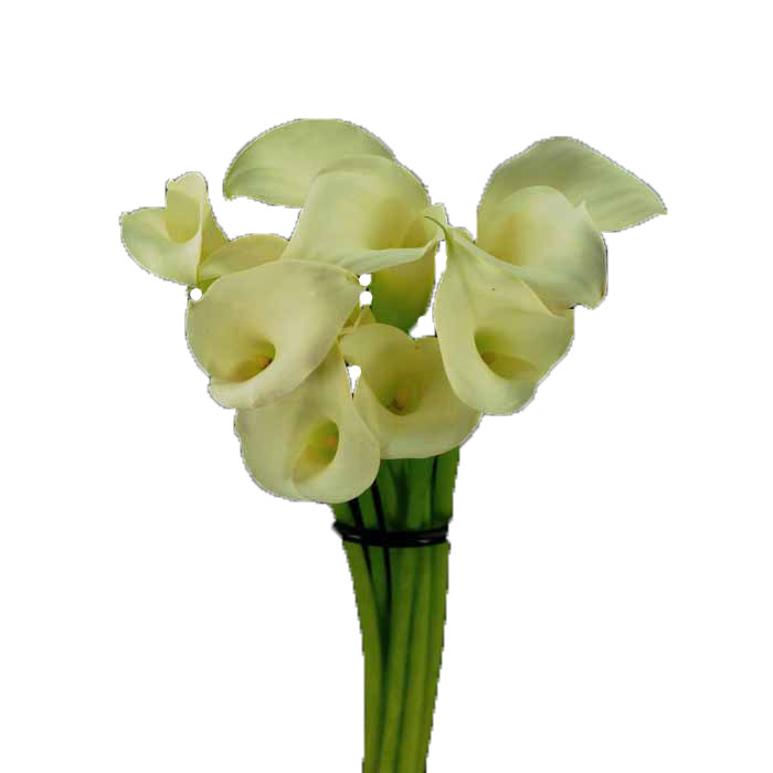 CALLA LILY MINI WHITE 50CM
