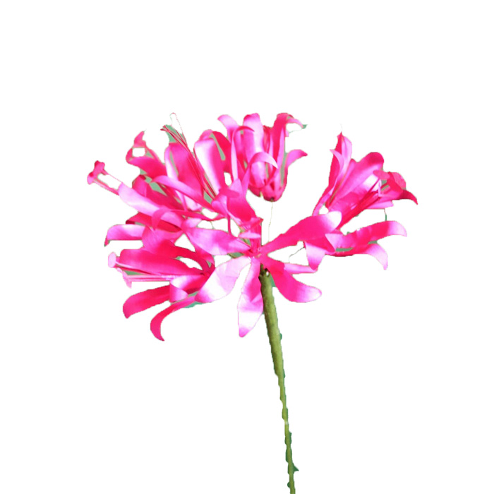 07NE