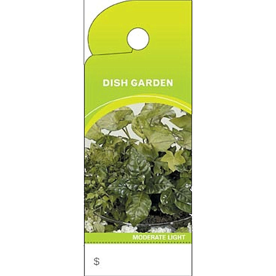 CARE TAGS DISH GARDEN