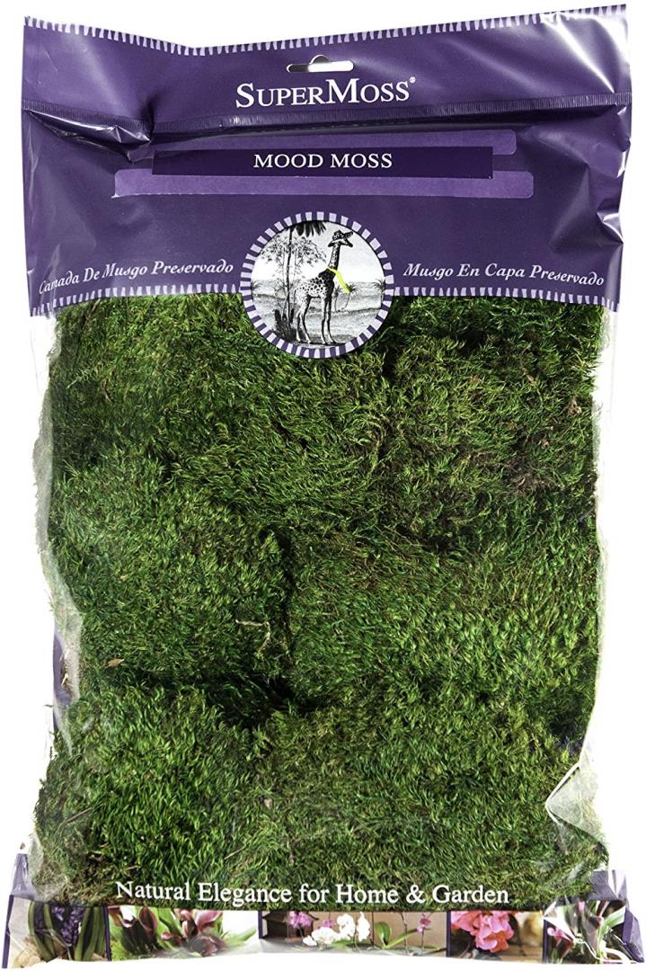 DRIED FOREST MOSS NATURAL GREEN 8/OZ EACH