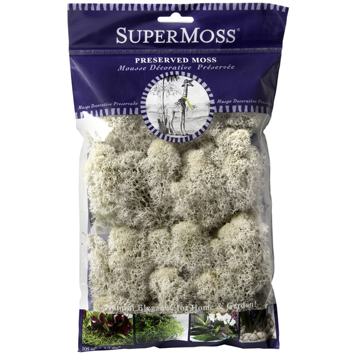 PRESERVED REINDEER MOSS NATURAL 2/OZ EACH